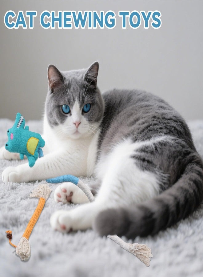 Ymcafmo 4pcs Safe Cat Rope Toy with Catnip - Dental Cleaning Chew Toys for Cats - Kitten Teething Toys - Interactive Play Toys with Feathers - Indoor Cats - Image 3